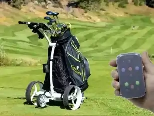 Golf Cart Remote